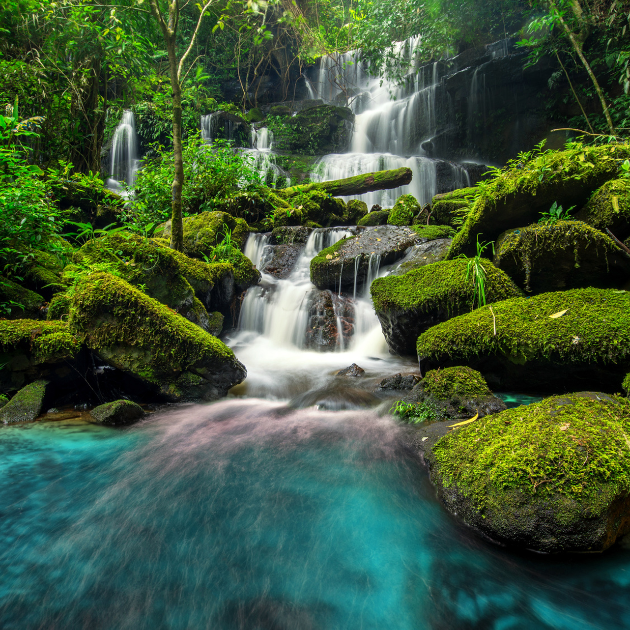 Waterfalls in lush forest setting